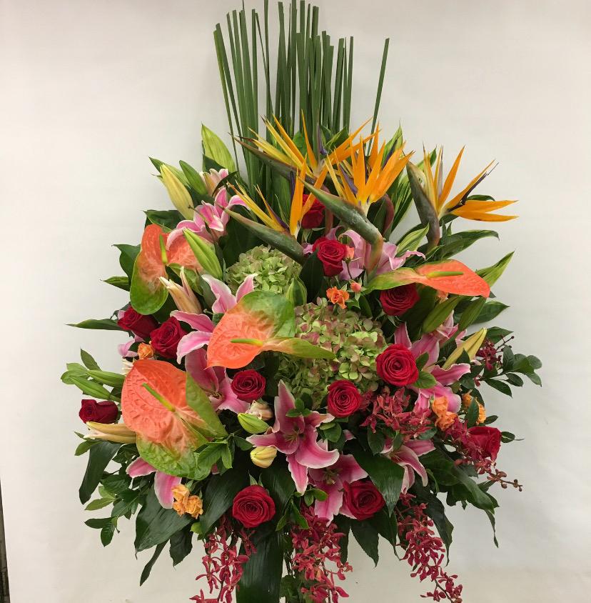 DMOP 粉掌繡球天堂鳥花籃