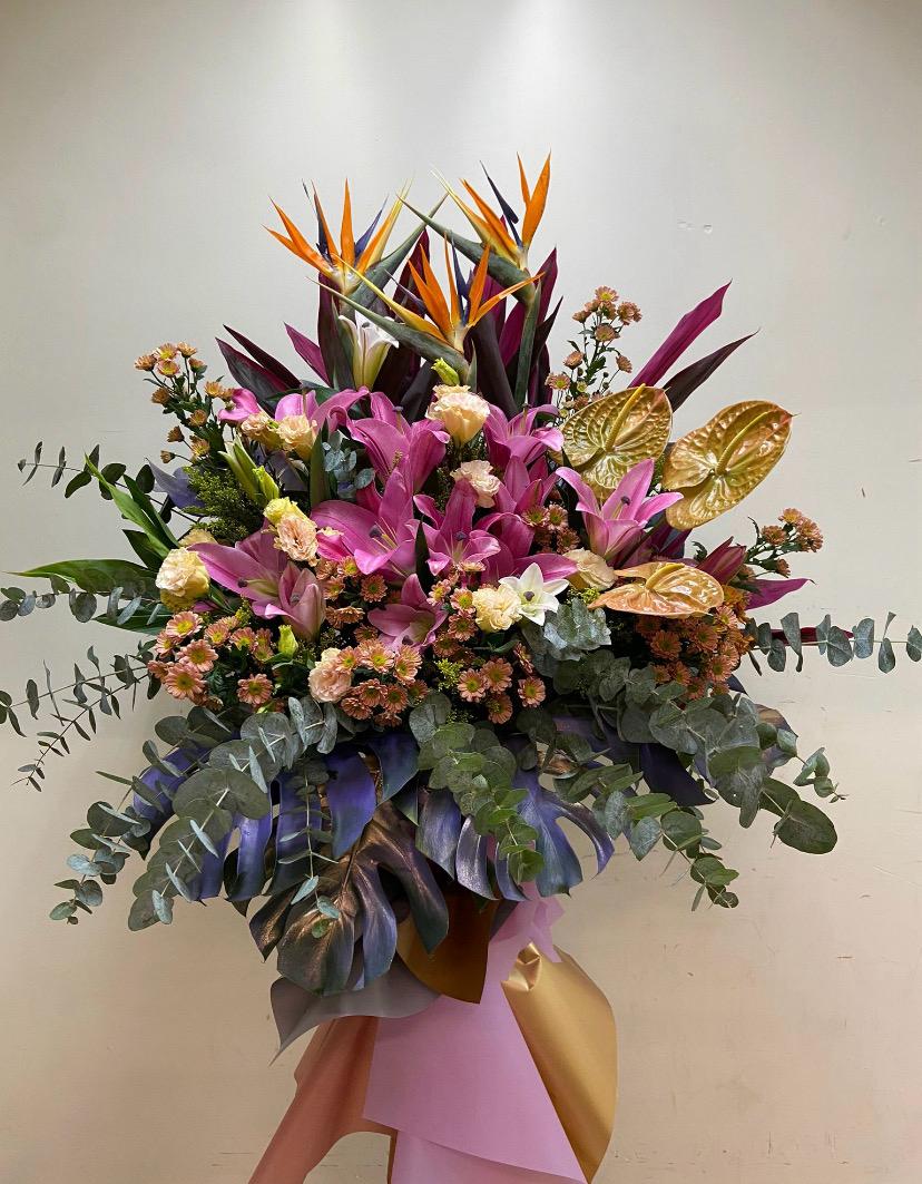 DMOP 天堂鳥綠掌小菊花籃