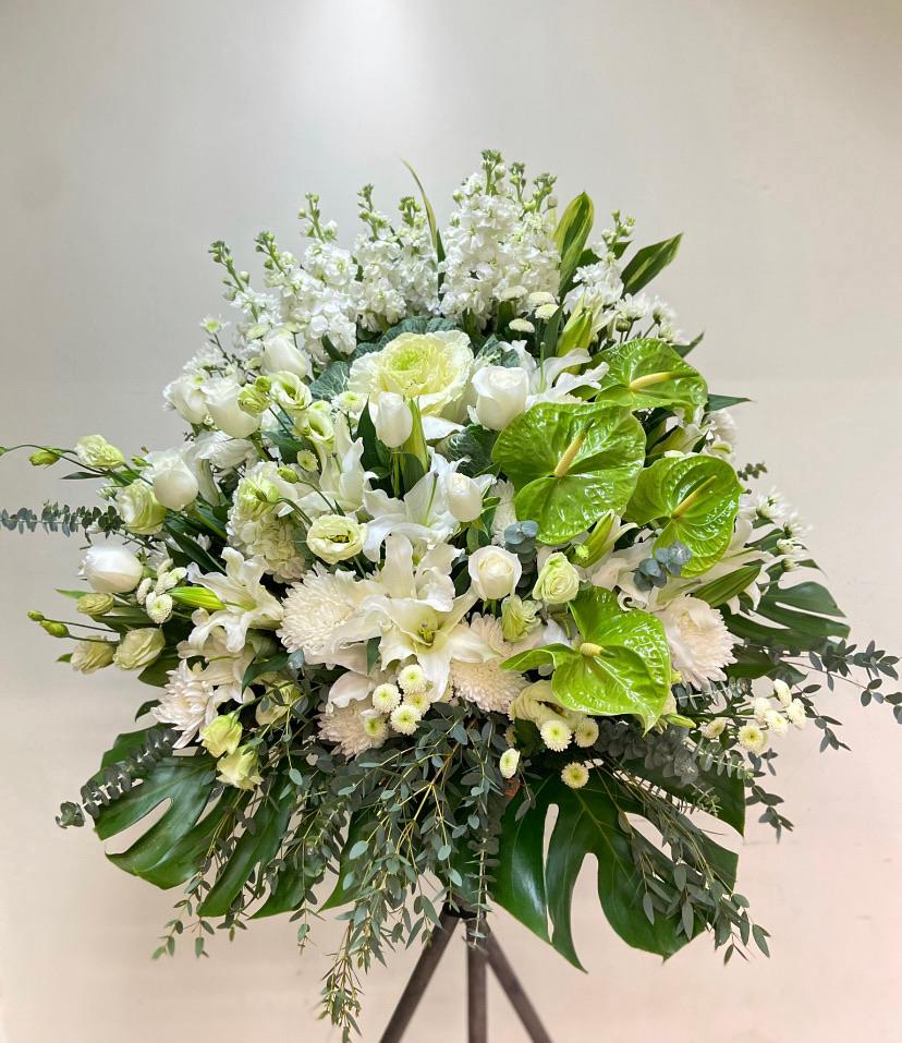 DMDD 麝香葉牡丹玫瑰綠掌花籃