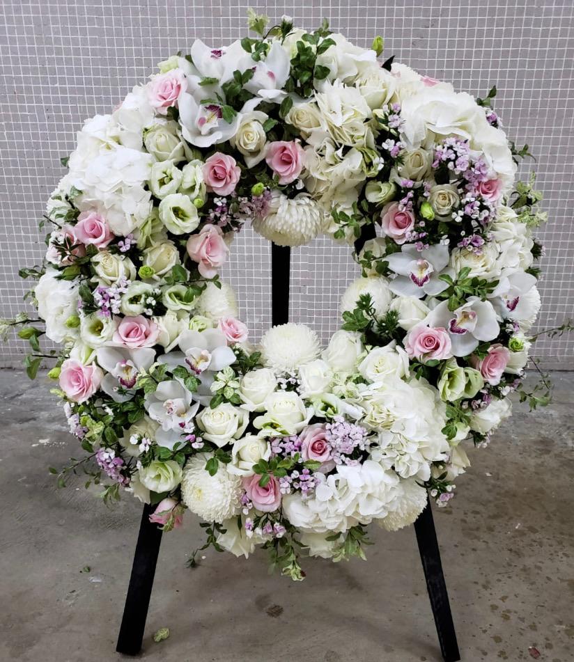 DMDD 圓形朱頂蘭粉玫瑰大波菊花牌