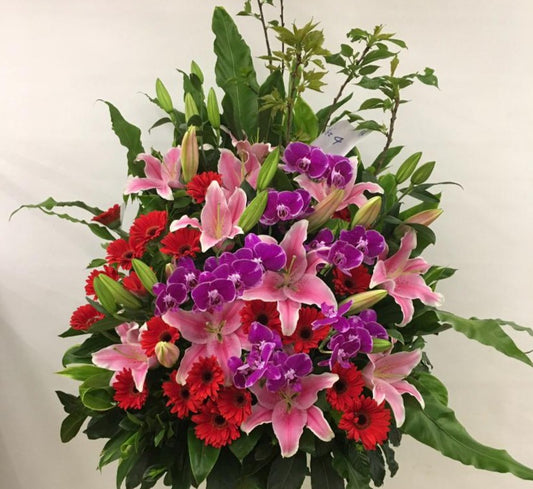 DMOP 蝴蝶蘭百合太陽花花籃