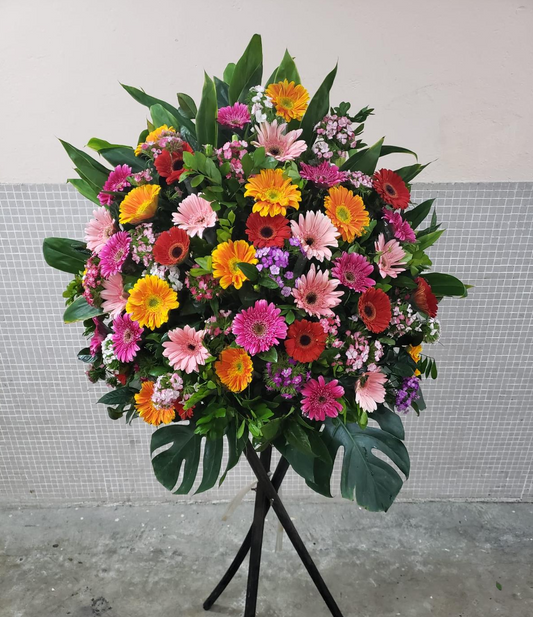 DMOP 太陽花小菊花籃