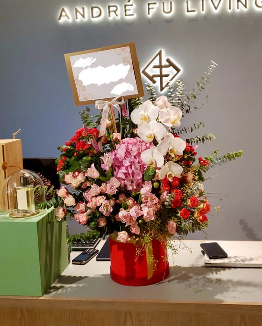 DMOP 蝴蝶蘭繡球小玫瑰枱花